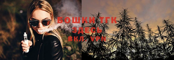 ПСИЛОЦИБИНОВЫЕ ГРИБЫ Баксан