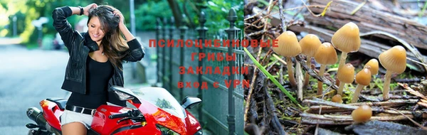 ПСИЛОЦИБИНОВЫЕ ГРИБЫ Баксан