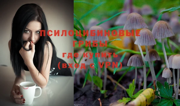 гидропоника Балабаново
