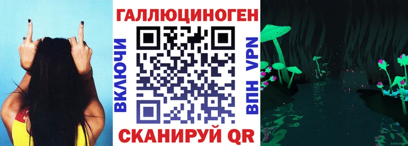 Галлюциногенные грибы Psilocybine cubensis  Бежецк 